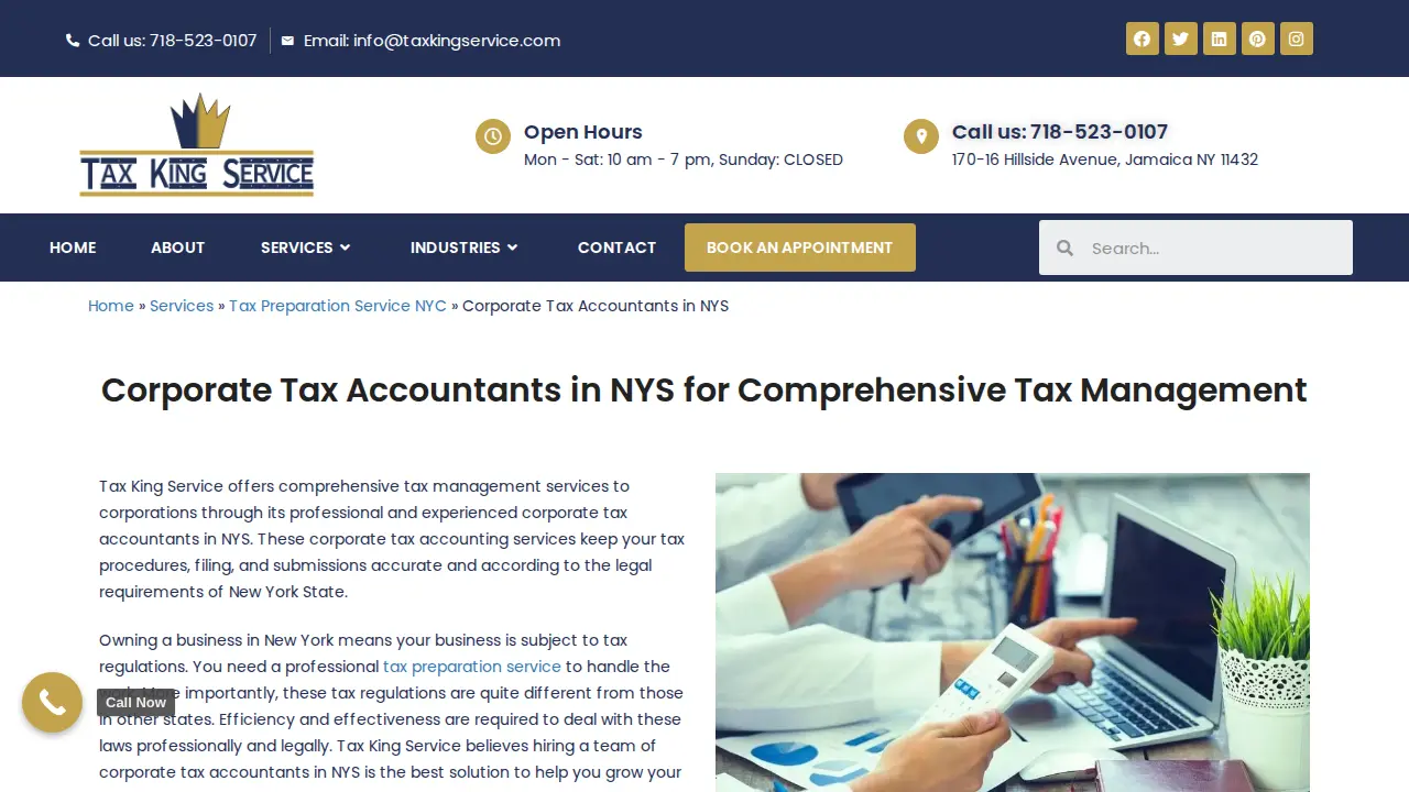 Tax King Service page