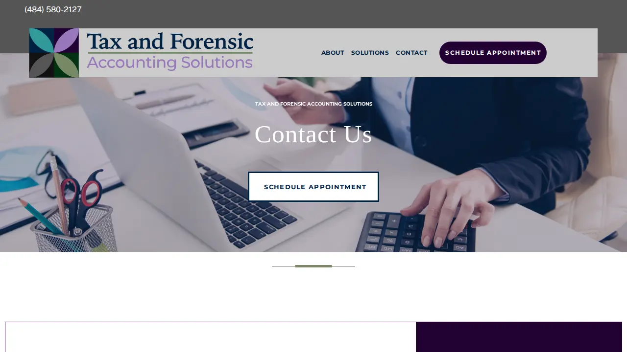 Tax and Forensic Accounting Solutions page