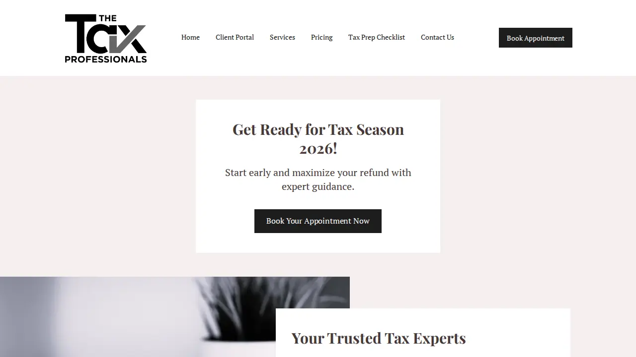 The Tax Professionals LLC
