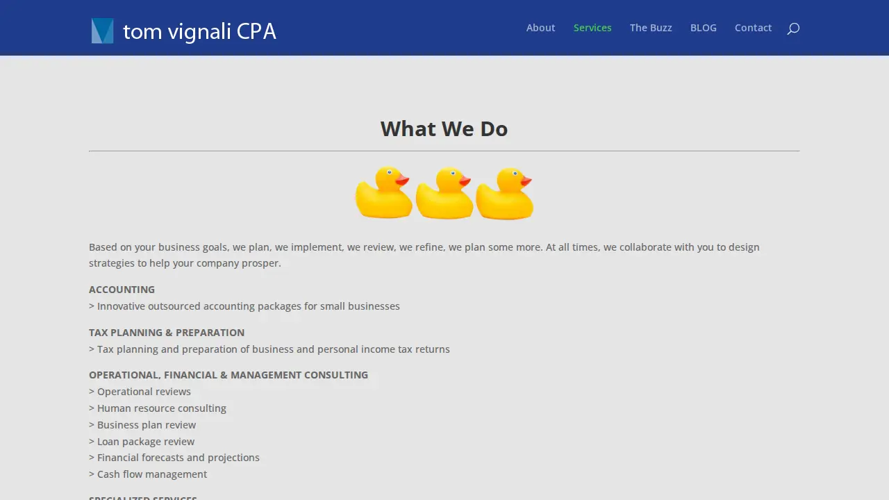 Tom Vignali CPA page