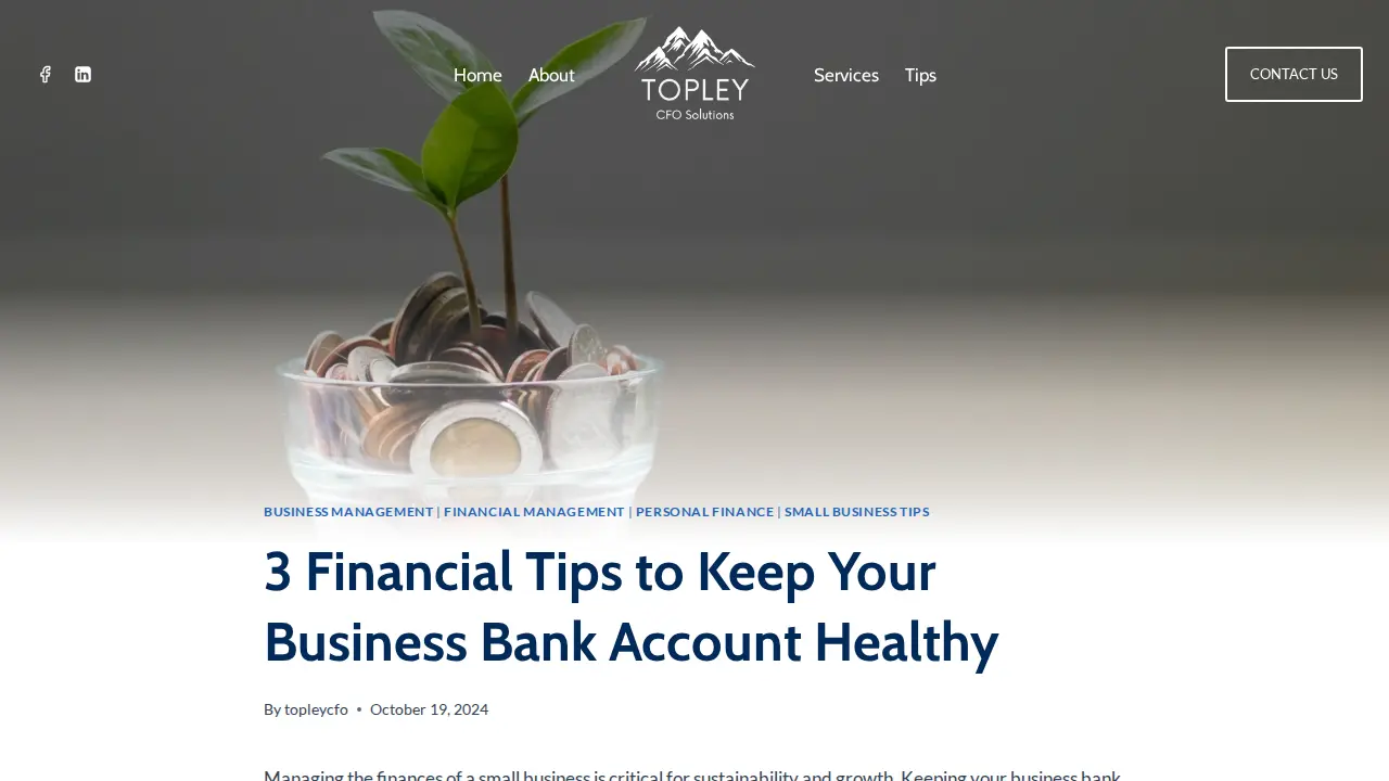Topley CFO Solutions page