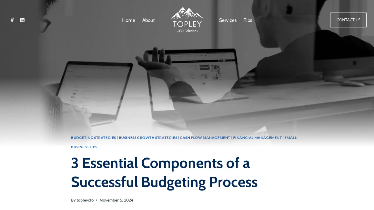 Topley CFO Solutions page