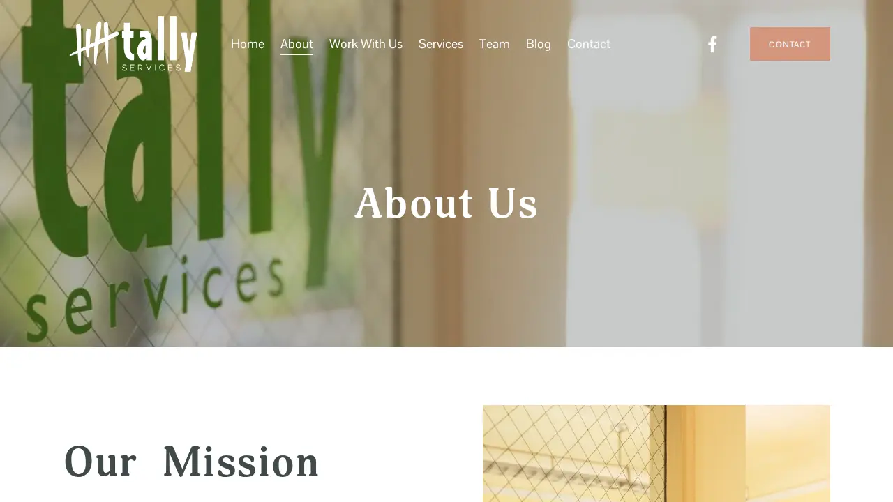 Tally Services, Inc. page