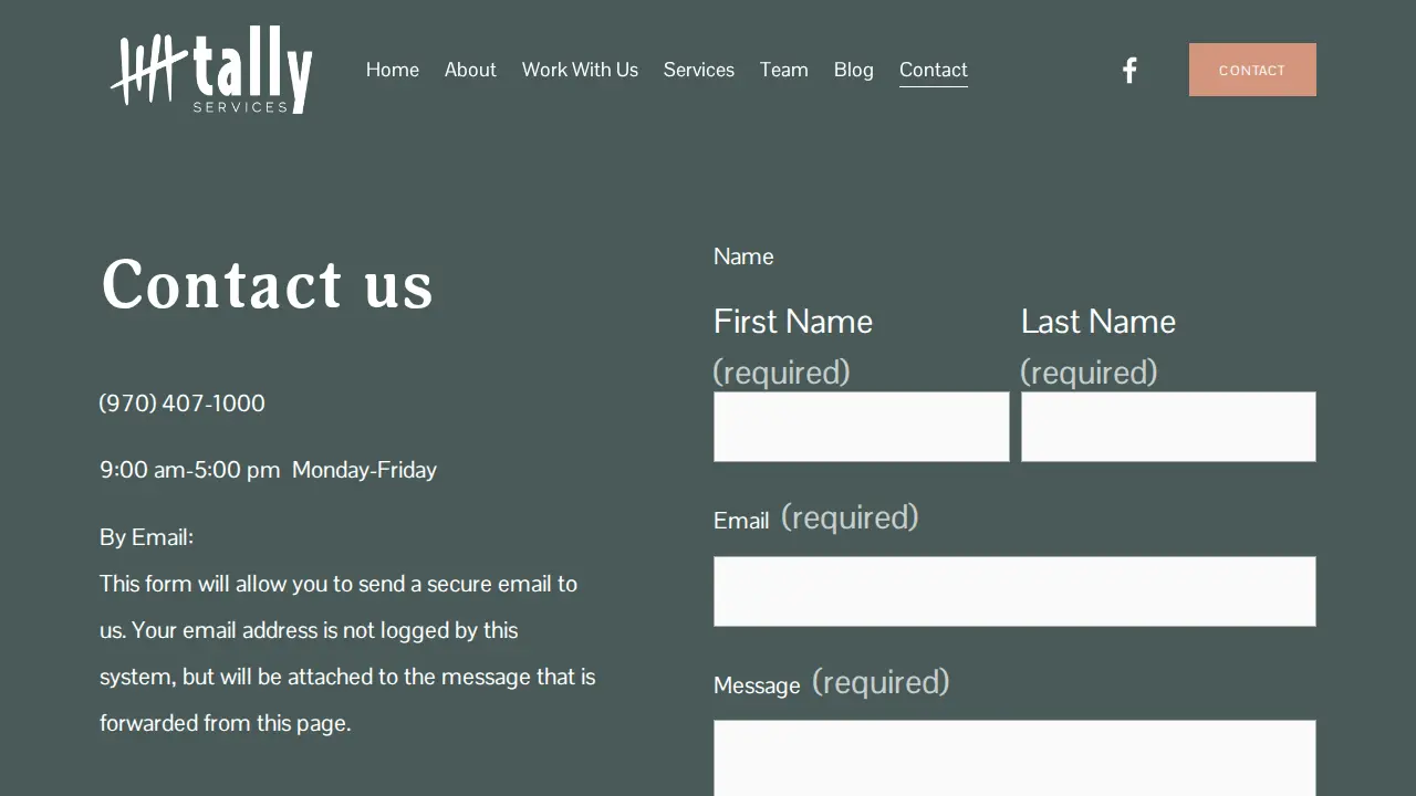Tally Services, Inc. page