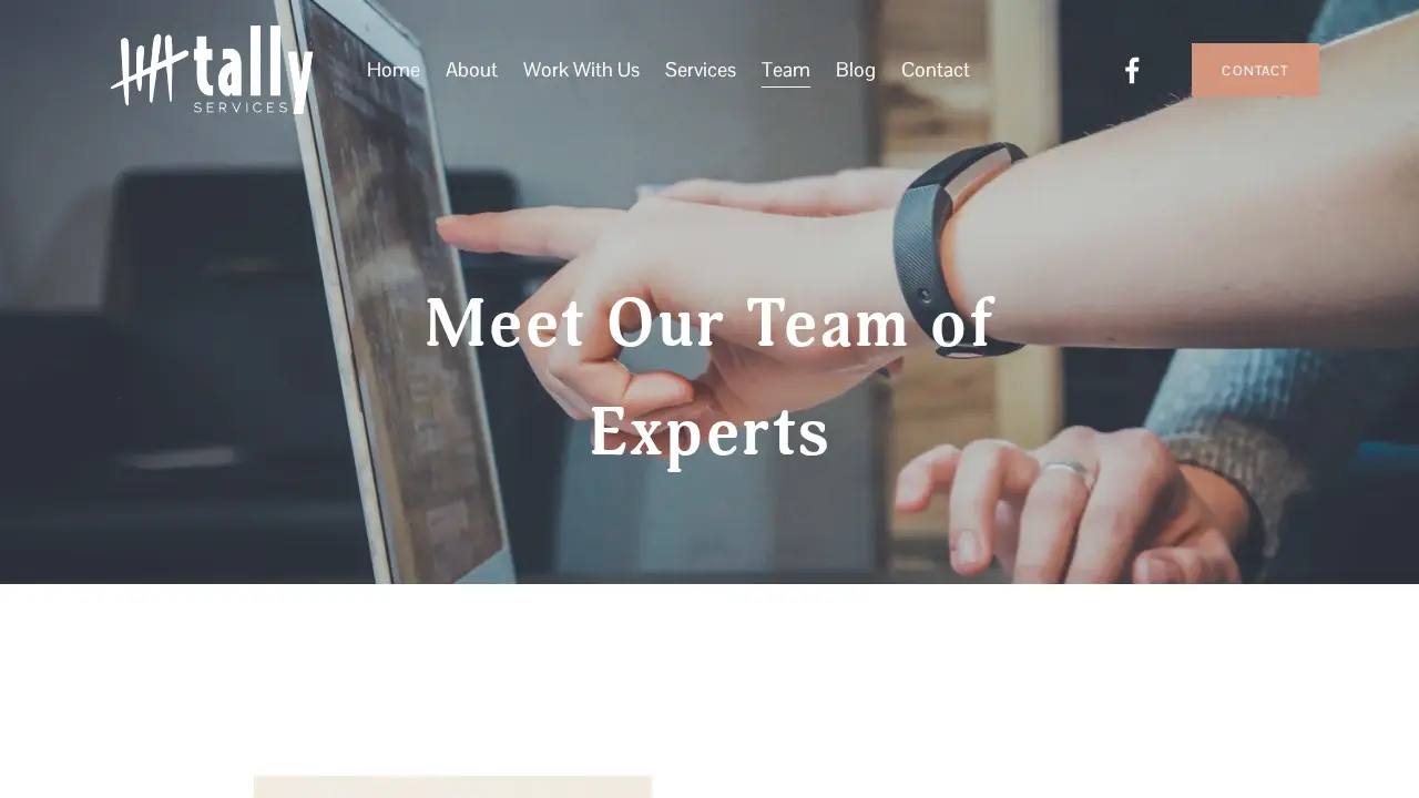 Tally Services, Inc. page