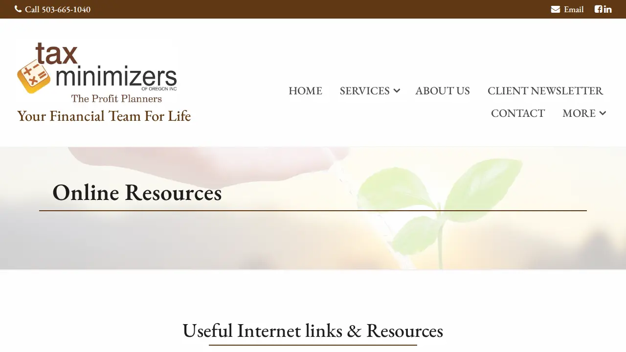 Tax Minimizers of Oregon Inc. page