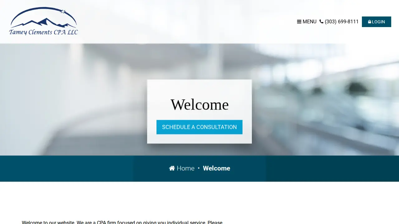 Tamey Meziere Clements CPA page