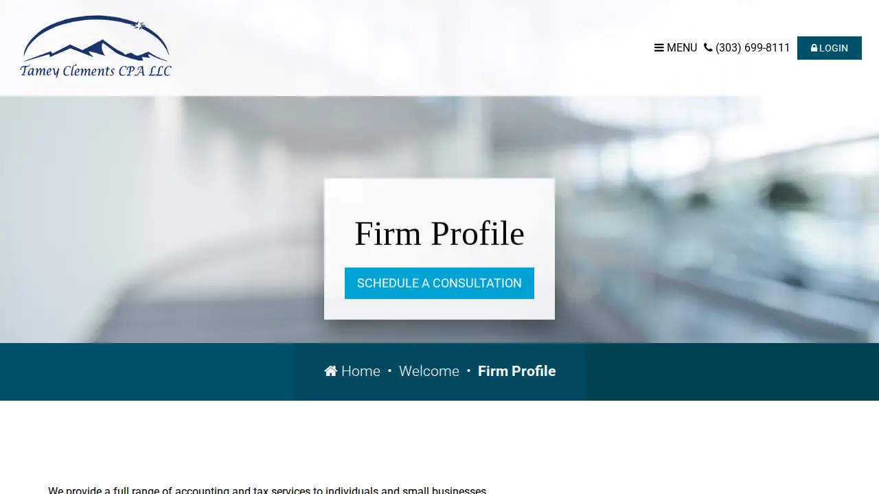Tamey Meziere Clements CPA page