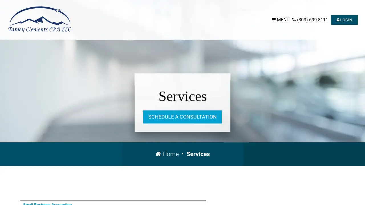 Tamey Meziere Clements CPA page