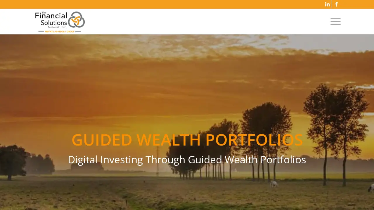 The Financial Solutions Network INC page