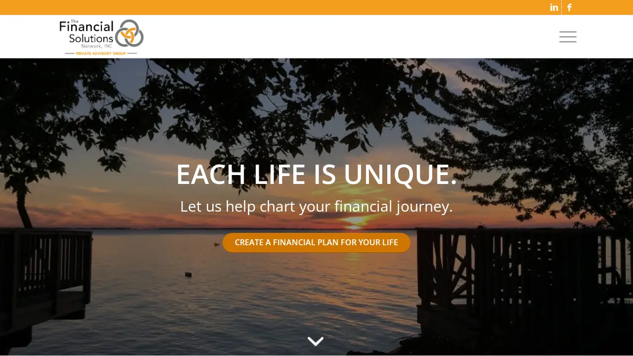 The Financial Solutions Network INC