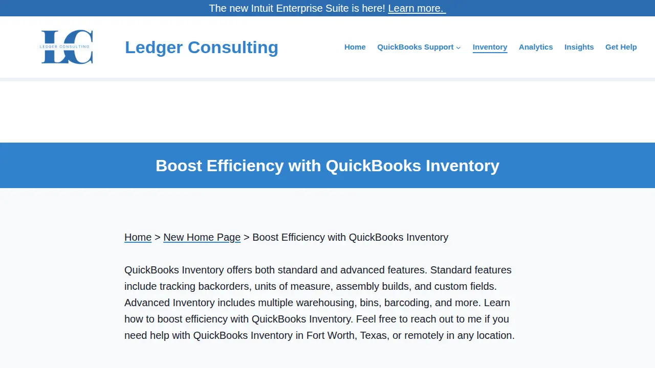 Ledger Consulting page