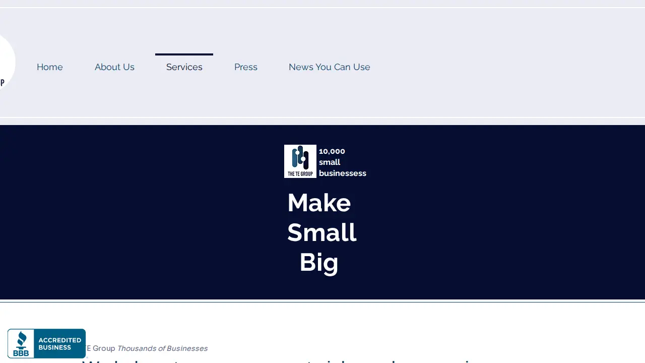 The TE Group page