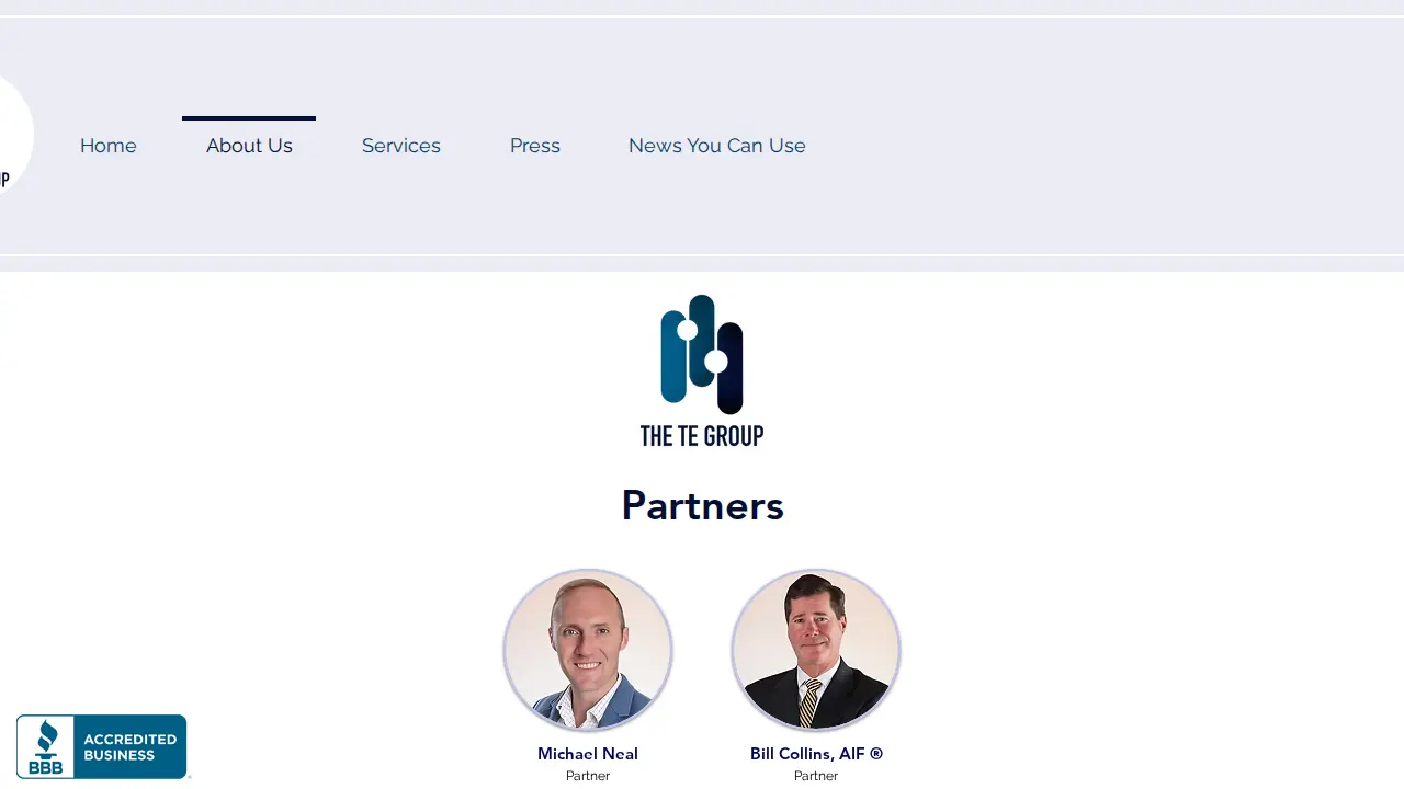 The TE Group page