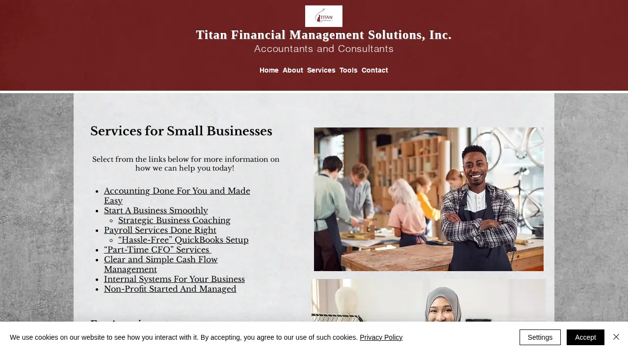 Titan Financial Management Solution Inc page