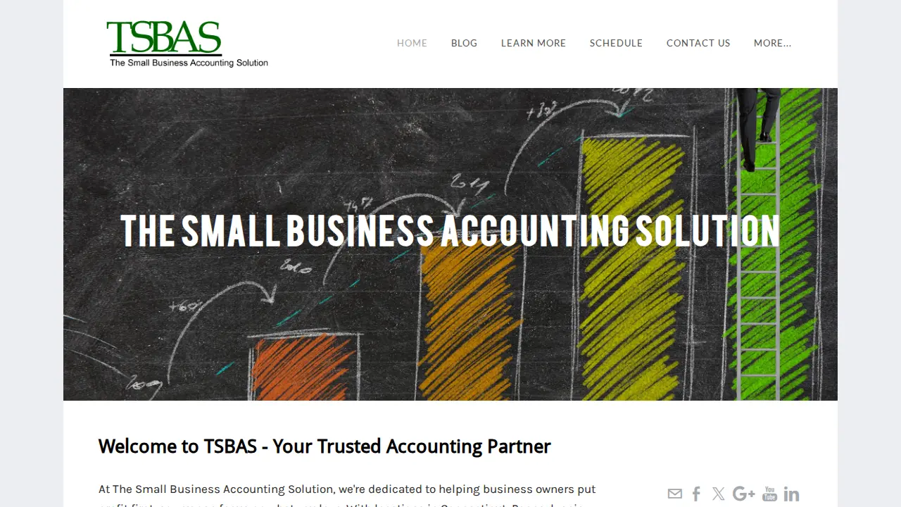 The Small Business Accounting Solution, Inc