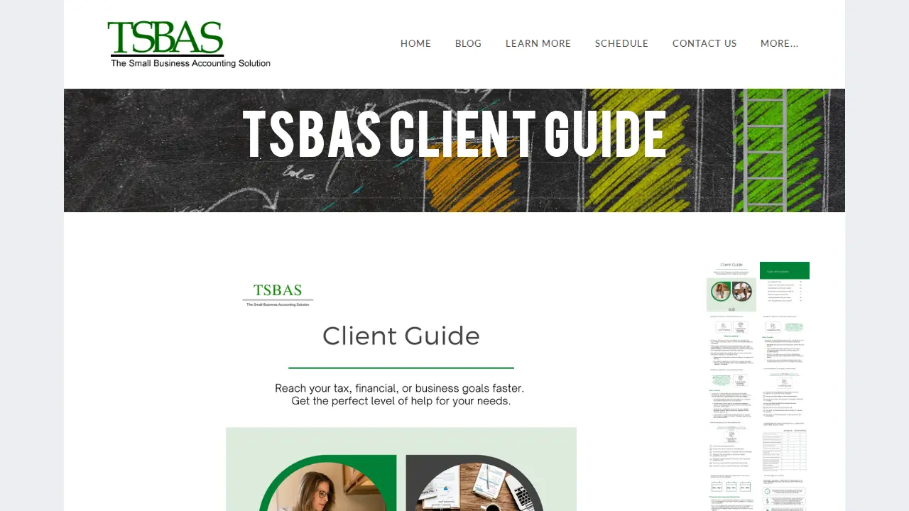 The Small Business Accounting Solution, Inc page