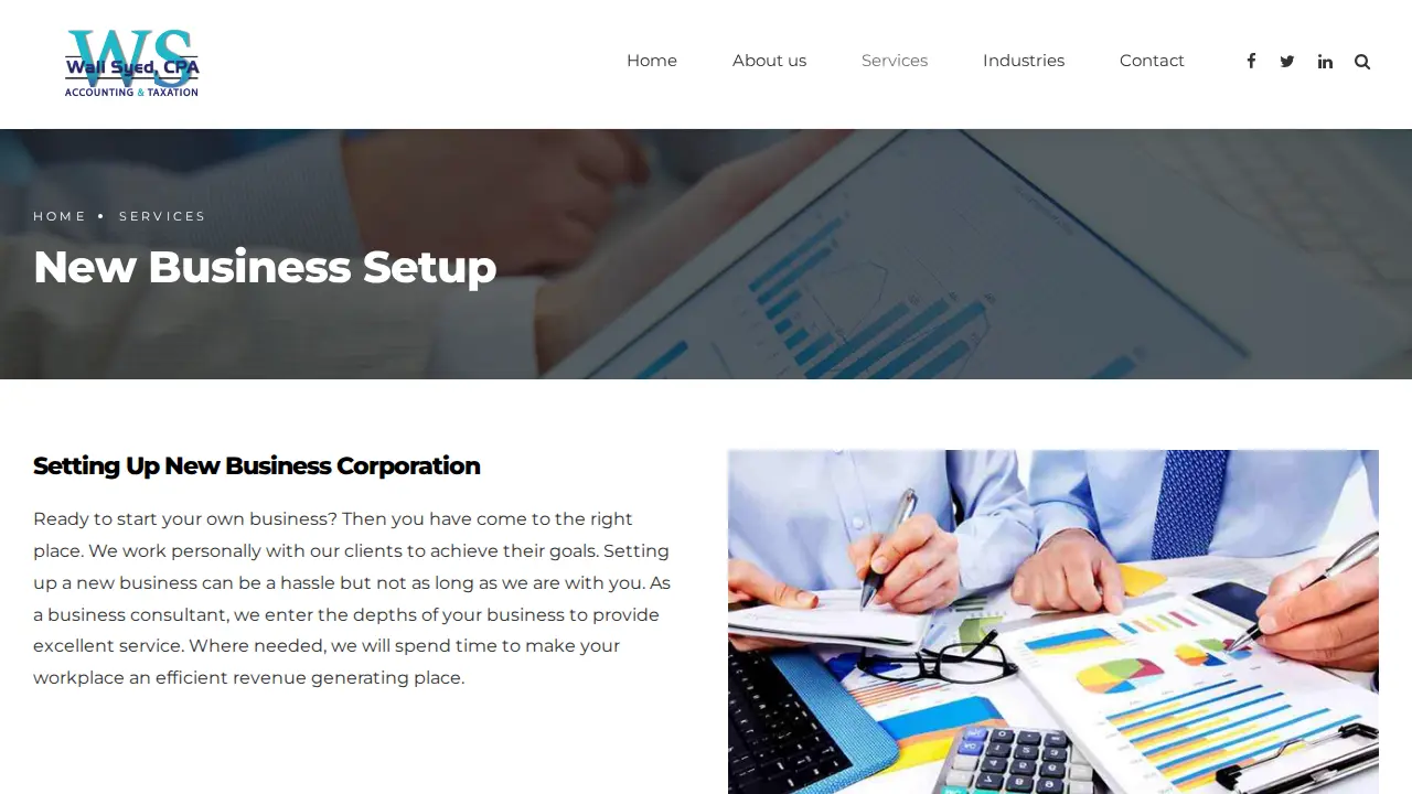 Wali Syed, CPA - Tax/Accounting page
