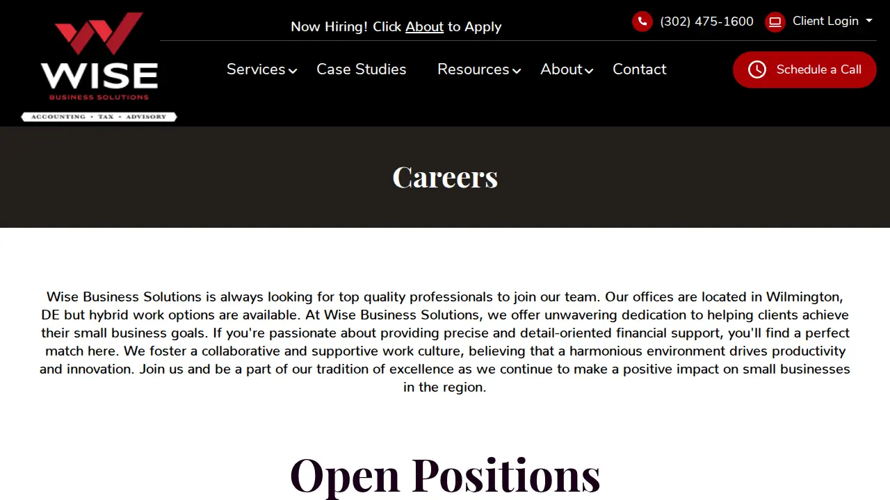 Wise Business Solutions page