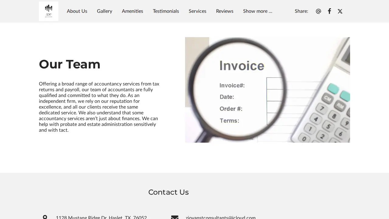 ZTC Tax Consultants page