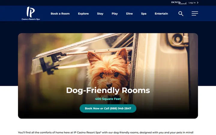 Dog-Friendly Rooms at IP Casino Resort & Spa | IPBiloxi.BoydGaming.com
