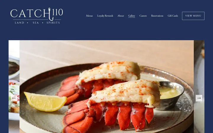 /gallery — Catch 110