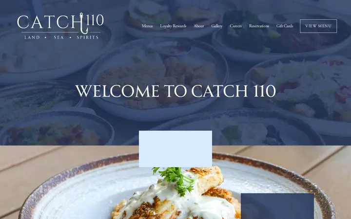 Website of Catch 110