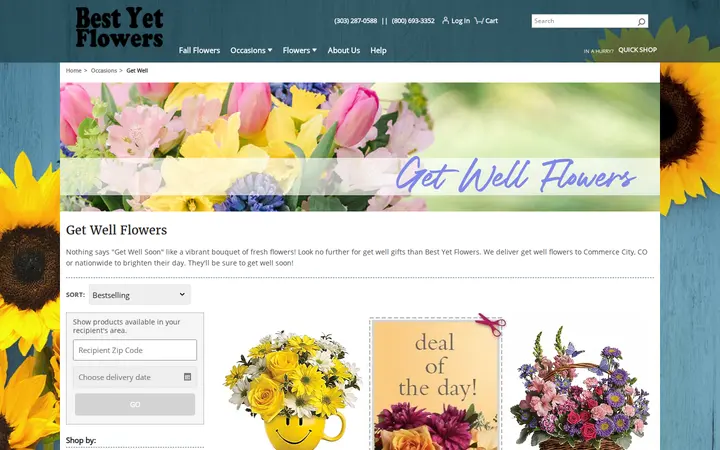 /get-well/cat1000018 — Best Yet Flowers