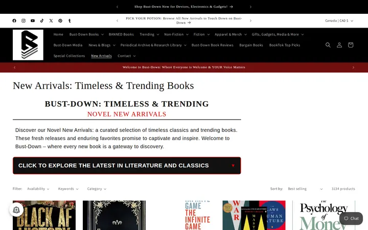 /collections/novel-new-arrivals — Bust-Down Books