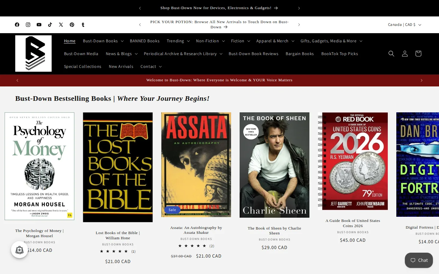 Captured website of Bust-Down Books