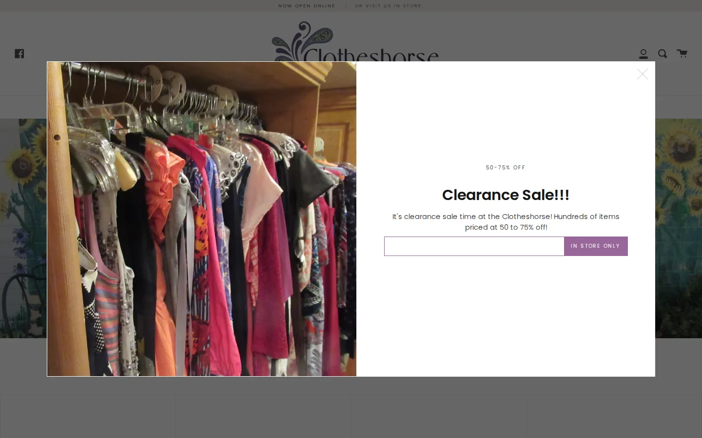 Captured website of Clotheshorse