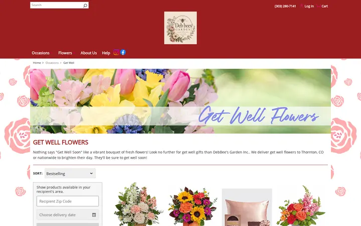 /get-well/cat1000018 — DebBee's Garden