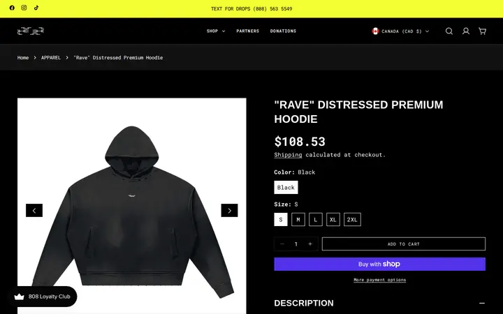 /products/rave-distressed-premium-hoodie — Elev808 Designs