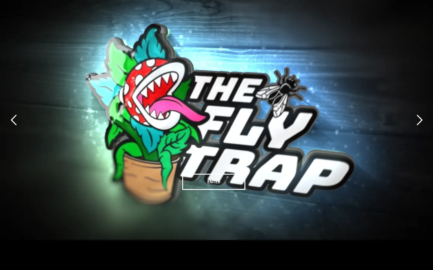 Captured website of The Flytrap Clothing Boutique