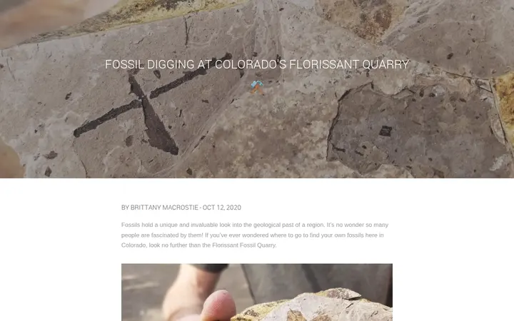/florissant-quarry — Lithos - Mineral, Fossil, Meteorite, Book and Hobby Shop