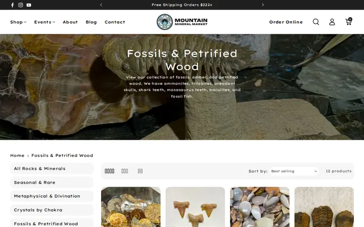 /collections/fossils-petrified-wood — Mountain Mineral Market