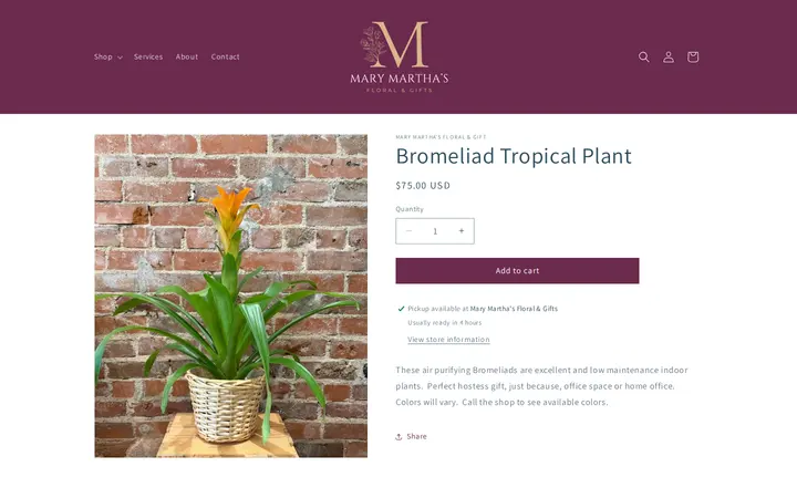 /products/bromeliad-tropical-plant — Mary Martha's Floral & Gifts