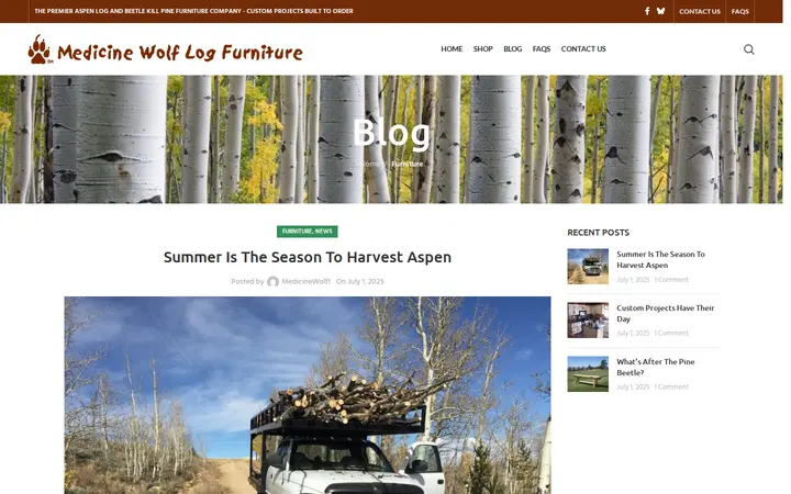 /summer-is-the-season-to-harvest-aspen — Medicine Wolf Log Furniture