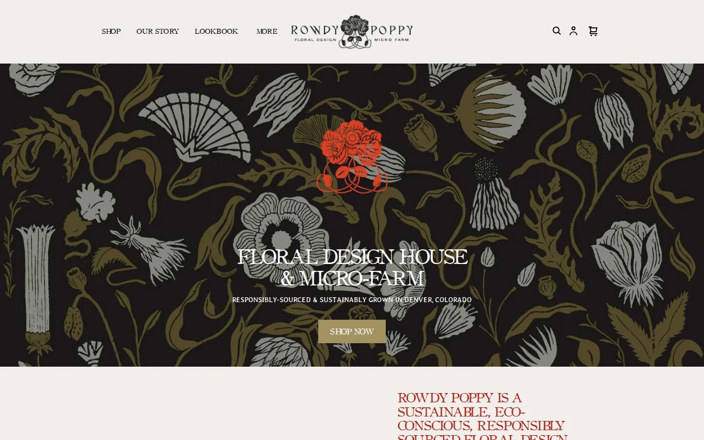Captured website of Rowdy Poppy