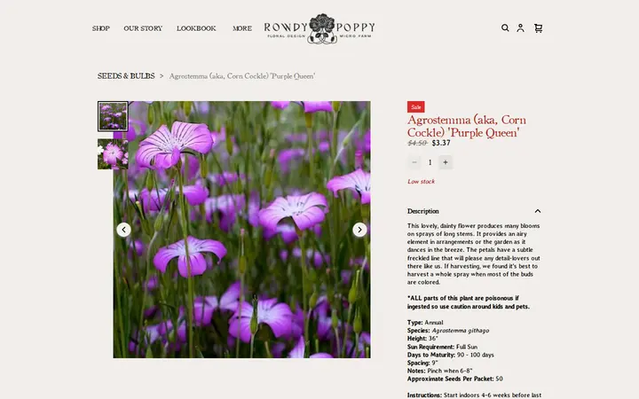 /product/agrostemma-aka-corn-cockle-purple-queen-/21 — Rowdy Poppy