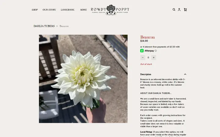 /product/beaucon/453 — Rowdy Poppy