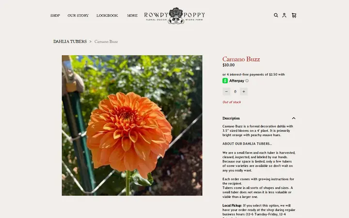 /product/camano-buzz/LT7WPRG3NAUWPM5BGCZACYMN — Rowdy Poppy