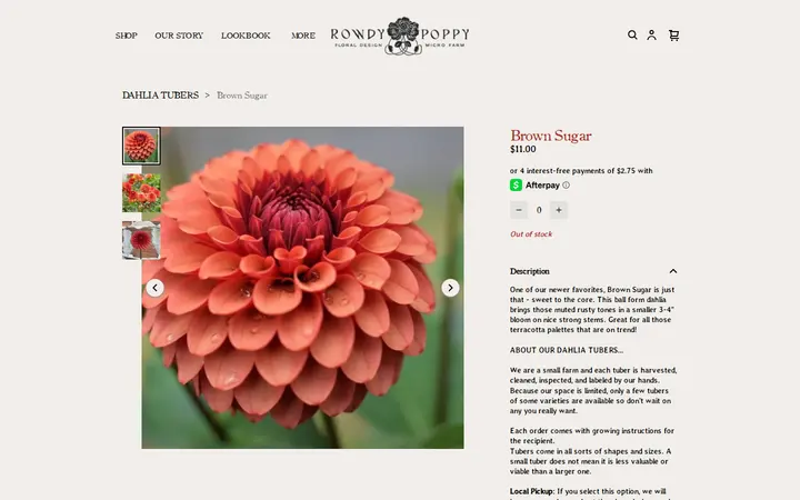 /product/brown-sugar/46 — Rowdy Poppy