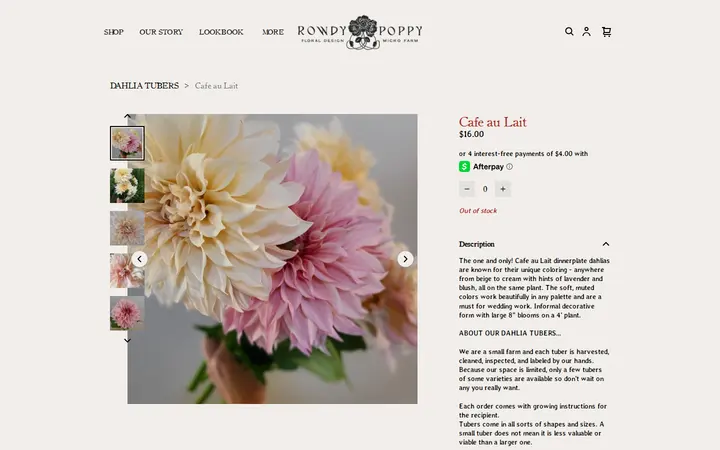 /product/cafe-au-lait/37 — Rowdy Poppy