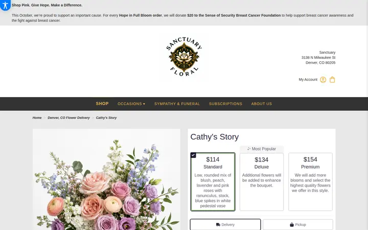/denver-sanctuary/cathy-s-story.html — Sanctuary