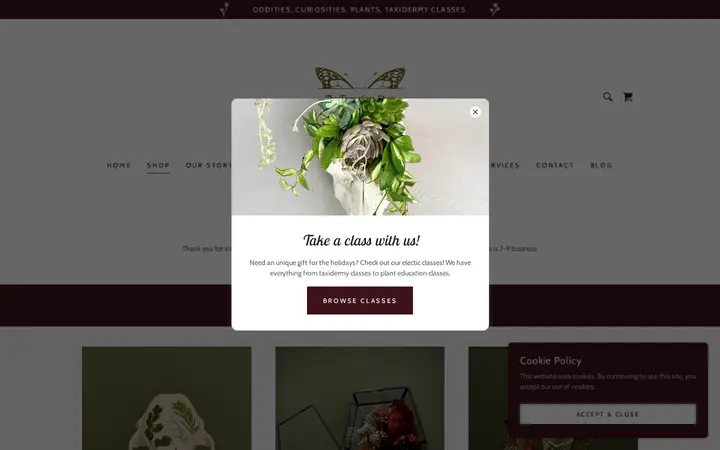 /shop/ols/categories/insect-specimens — The Terrorium Shop