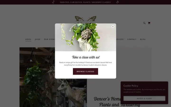 Website of The Terrorium Shop