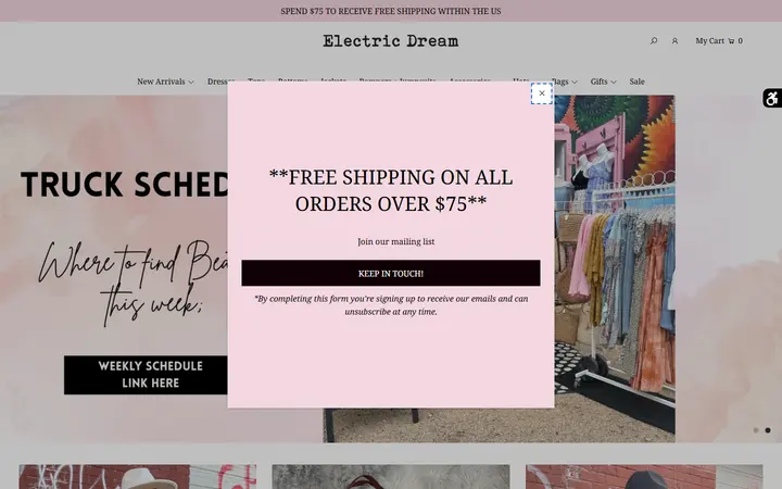Website of Electric Dream Boutique | Women's Clothing | Vintage | Gifts | Dresses | Accessories