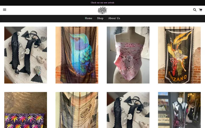 /collections/accessories — Canary in a Clothesmine