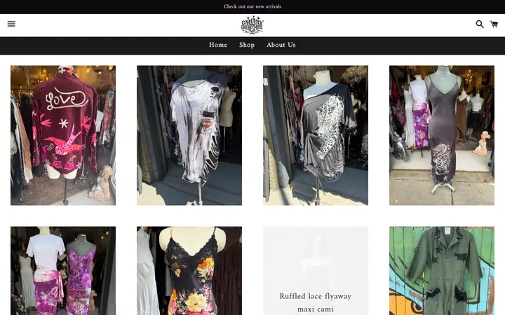 /collections/new-arrivals — Canary in a Clothesmine